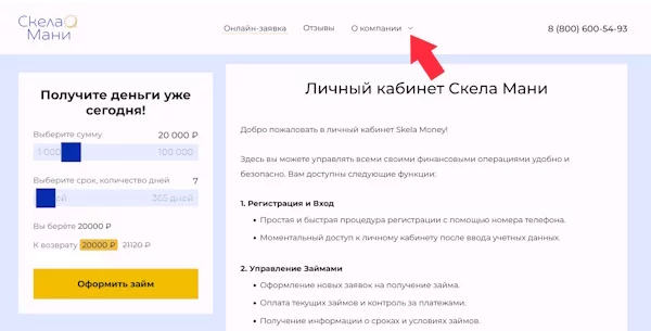 Вход в личный кабинет на сайте «Скела Мани»